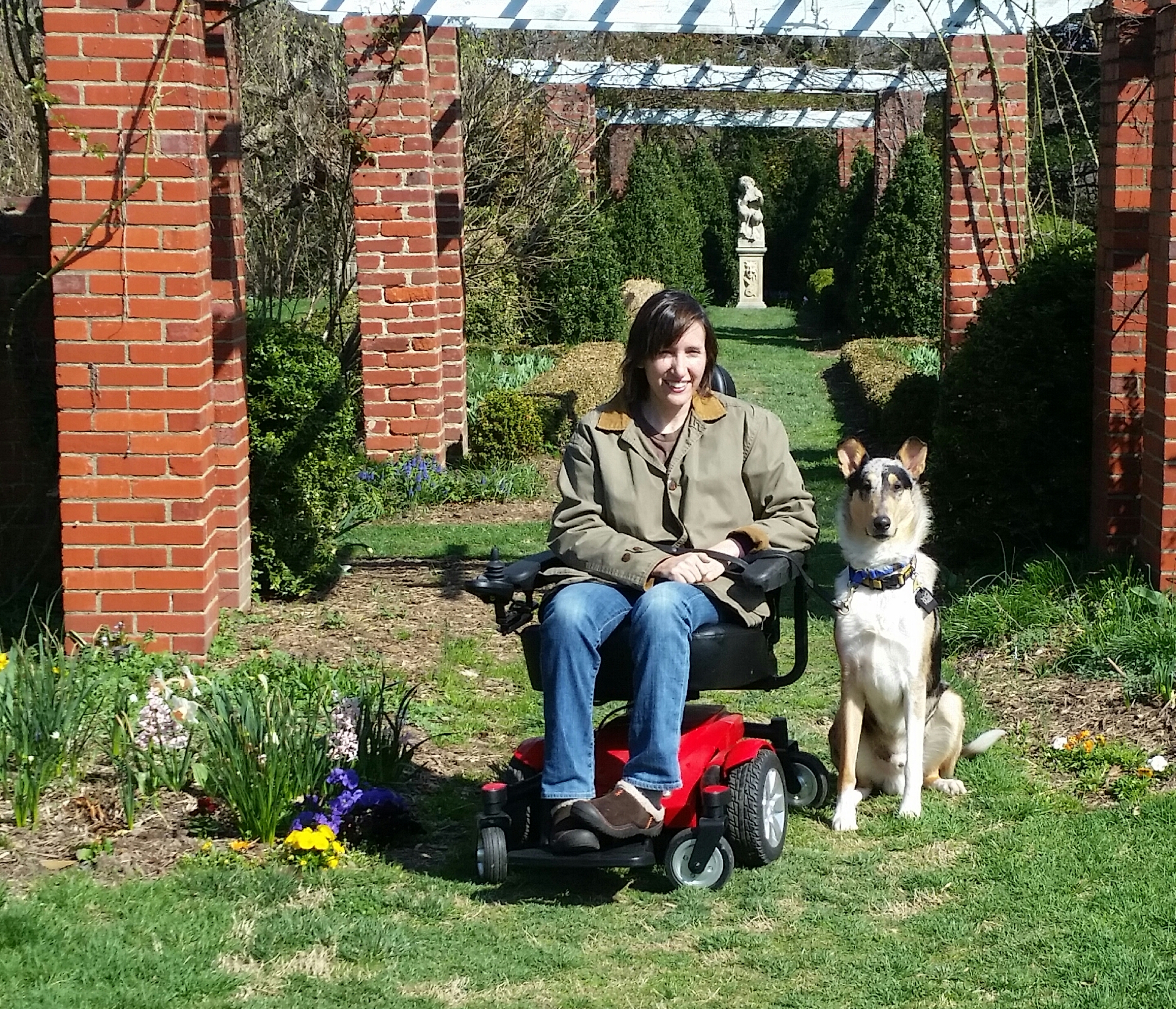 Science and Service Dog Task Selection
