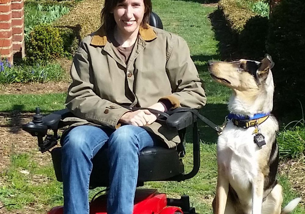 Certified Professional Dog Trainer serving Northern Virginia