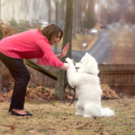 Dog trainer with samoyed puppy