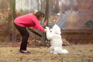Dog trainer with samoyed puppy