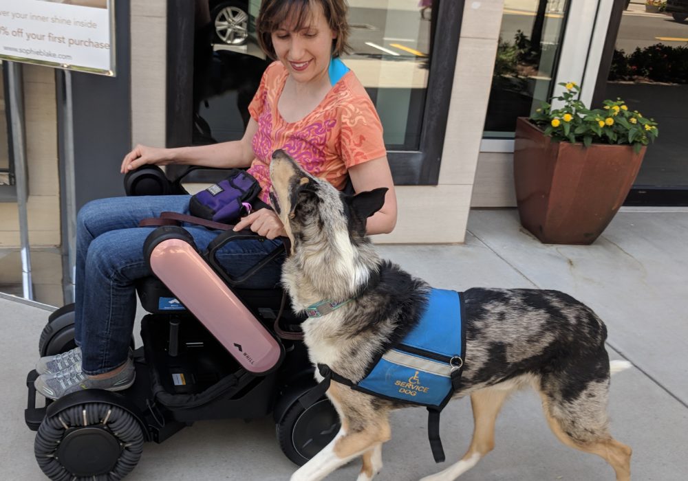 Alert! Service Dogs and Alert Training