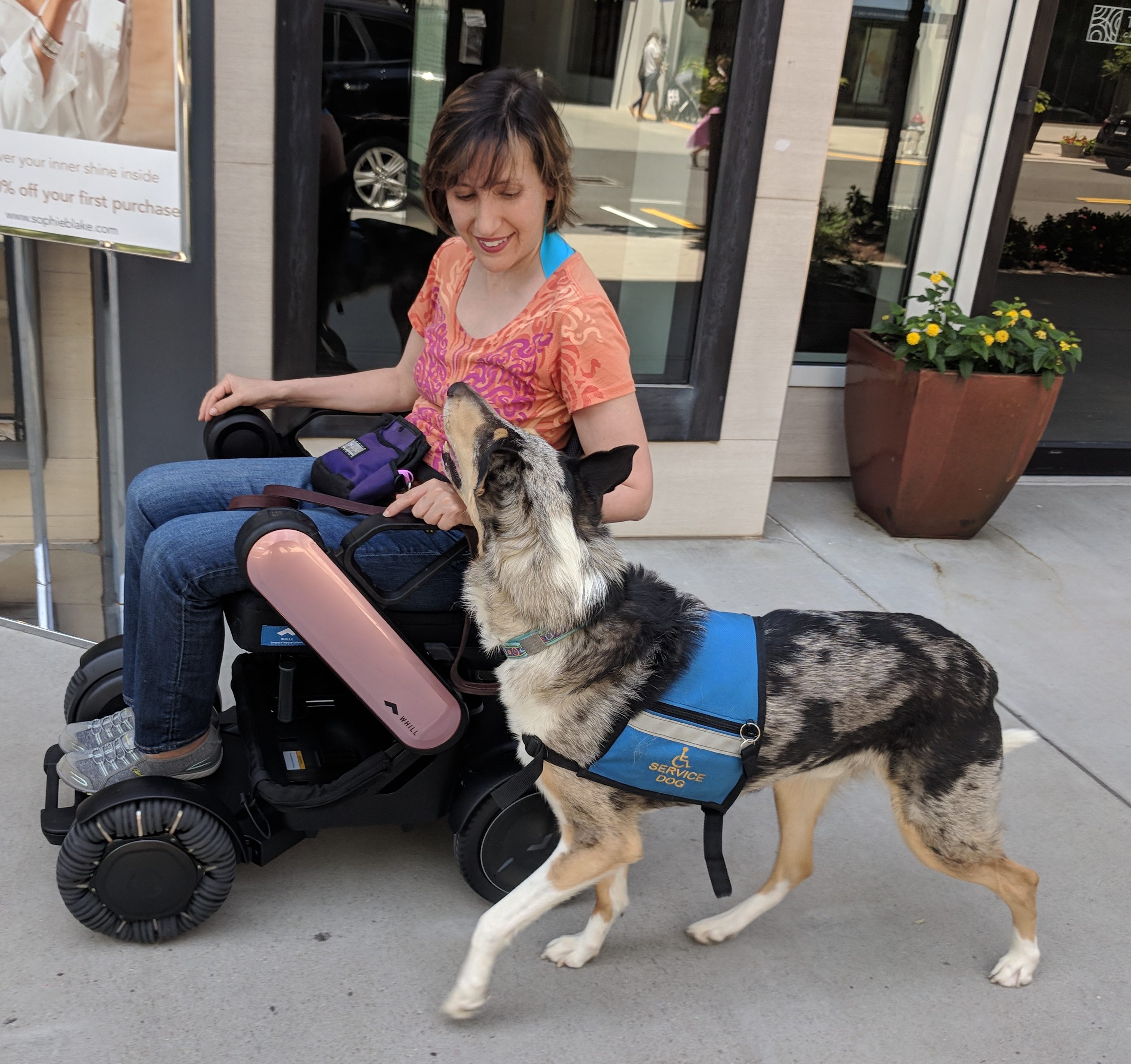 service dog and person in wheelchair