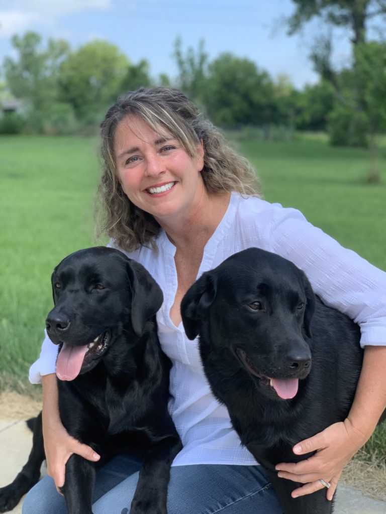Woman and two labradors