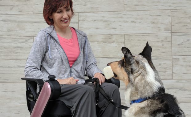 Woman in wheelchair and service dog holding a dumbbell