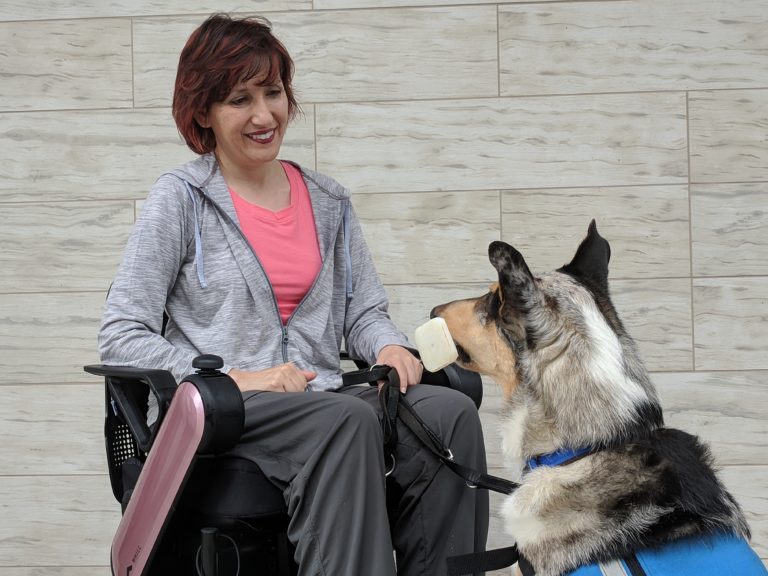 Woman in wheelchair and service dog holding a dumbbell