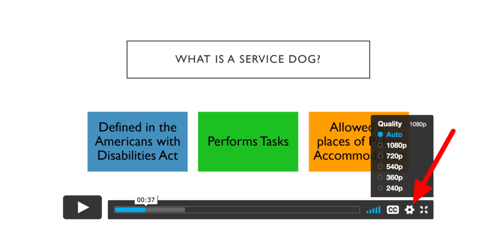screenshot of video with arrow pointing to gear