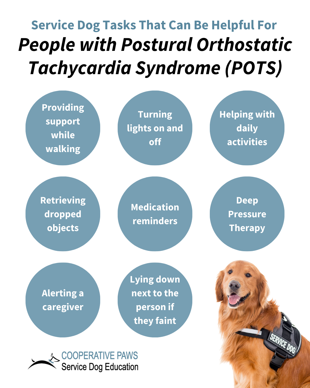 Service Dogs for Postural Orthostatic Tachycardia Syndrome - Cooperative  Paws