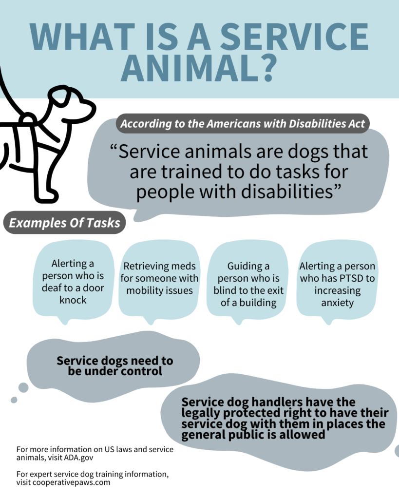 What is a service animal? According to the Americans with disabilities Act service animals are dogs that are trained to do tasks for people with disabilities. Examples of tasks follow including alerting a person who is deaf to a door knock, retrieving meds for someone with mobility issues. Service dogs need to be under control Service dog handlers have the legally protected right to have their service dog with them in places the general public is allowed. 