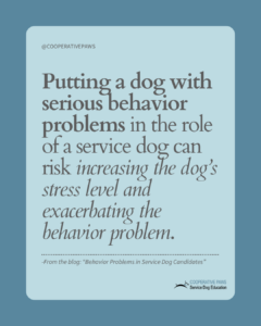 Putting a dog with serious behavior problems in the role of a service dog can risks increasing the dog’s stress level and exacerbating the behavior problem. 