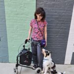 woman with walker and smooth collie puppy