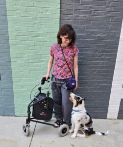 woman with walker and smooth collie puppy