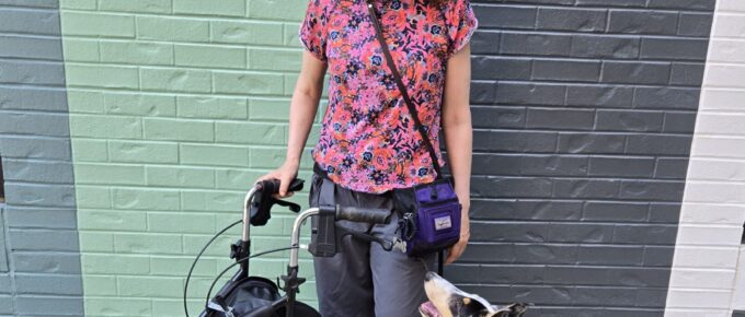 woman with walker and smooth collie puppy