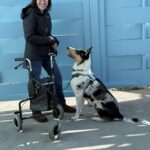 Veronica sanchez and service dog smooth collie Bennie