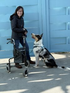 Veronica sanchez and service dog smooth collie Bennie